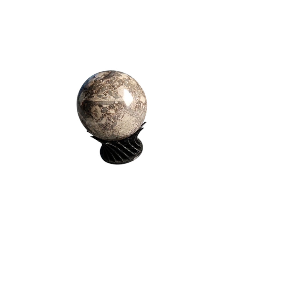 Polished Crinoid Fossil Marble Crystal Sphere Cream Black Mineral Accent